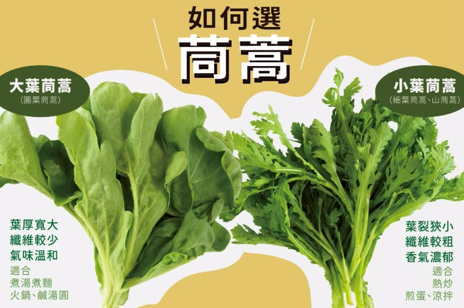 昭和草 昭和草