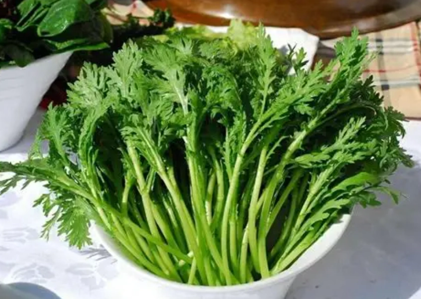 茼蒿清洗 茼蒿清洗