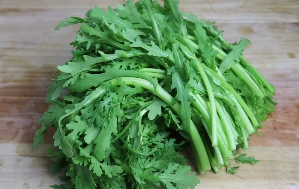 山茼蒿怎麼分辨 山茼蒿怎麼分辨