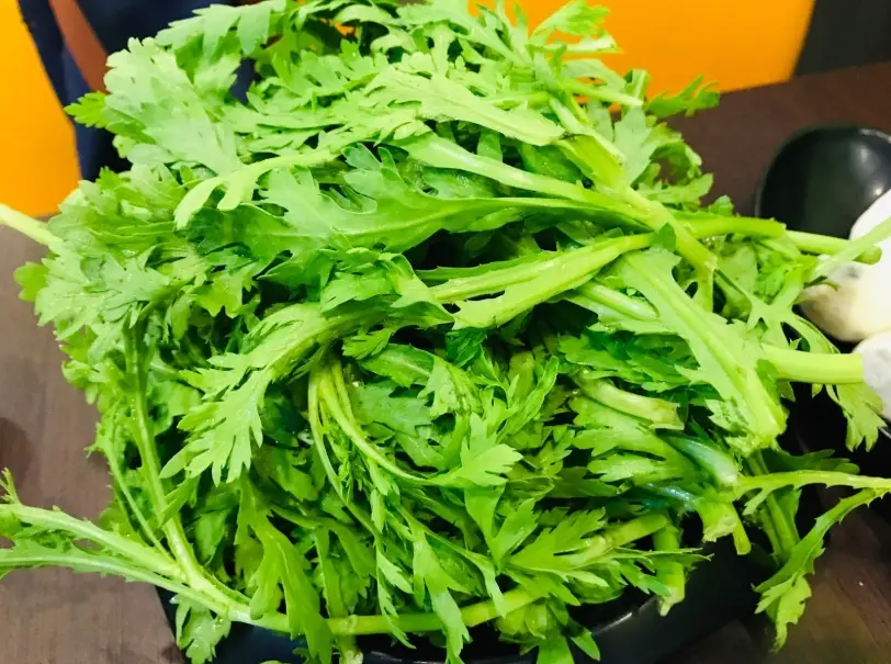 山茼蒿怎麼分辨 山茼蒿怎麼分辨