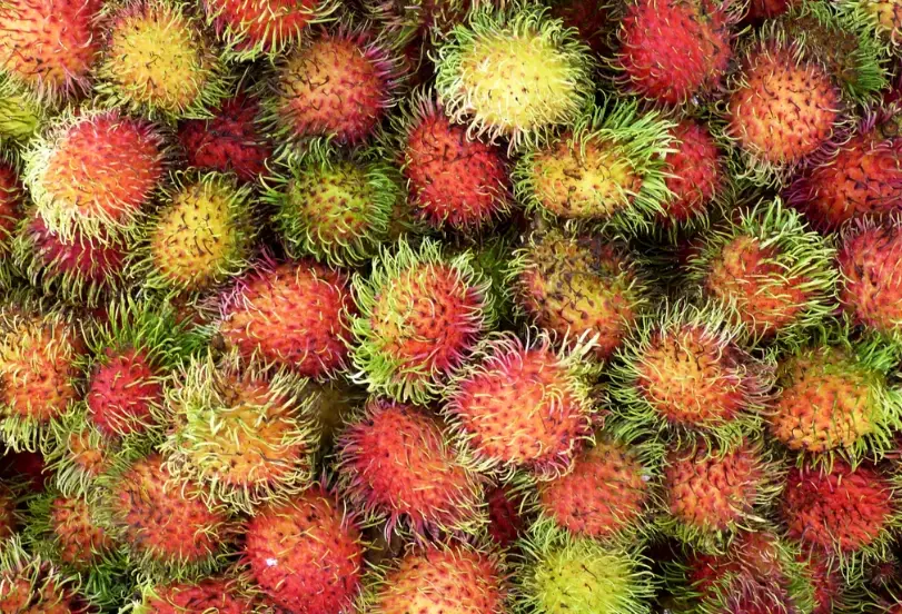 紅毛丹怎麼挑 紅毛丹怎麼挑