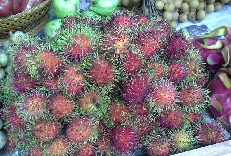 泰國紅毛丹產季 泰國紅毛丹產季