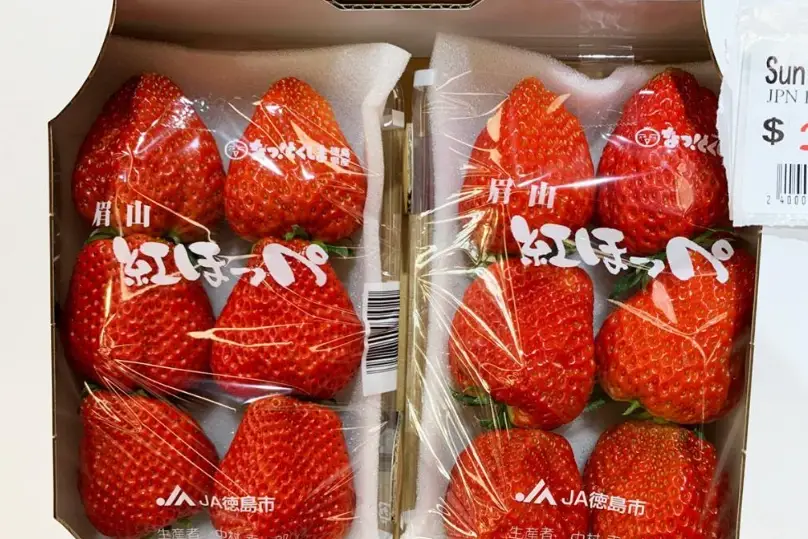 草莓種植溫度 草莓種植溫度