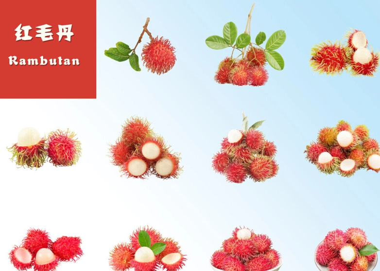 紅毛丹葉子茶 紅毛丹葉子茶