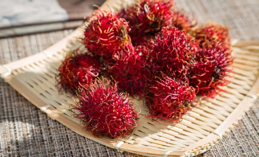 紅毛丹怎麼挑 紅毛丹怎麼挑