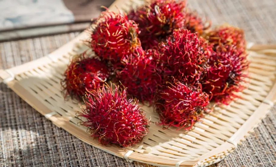 紅毛丹保存 紅毛丹保存