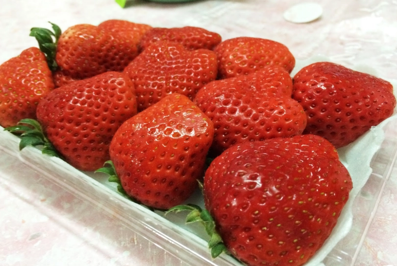 草莓種子不發芽原因 草莓種子不發芽原因