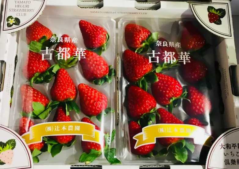 草莓種植溫度 草莓種植溫度