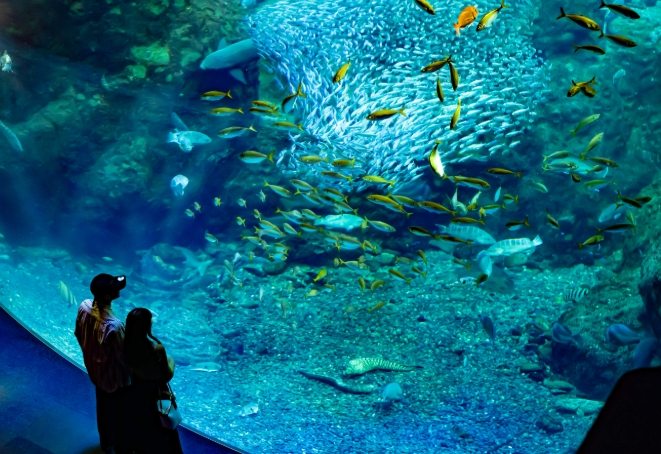 新江之島水族館