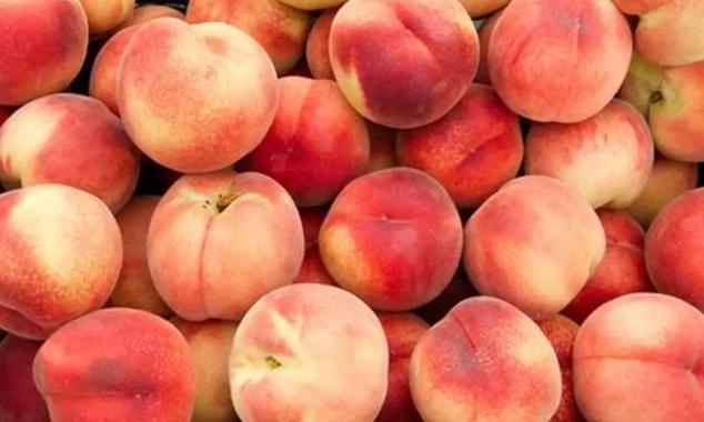 水蜜桃土壤條件