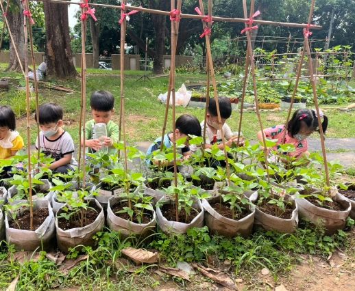 親子種植活動