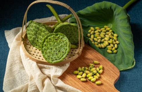 蓮花種子發芽方法