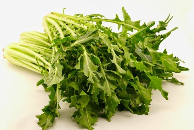 菊苣健康益處
