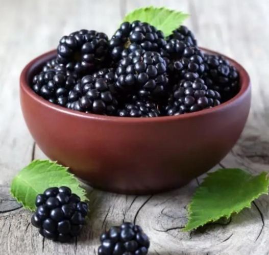 黑莓手機 黑莓手機