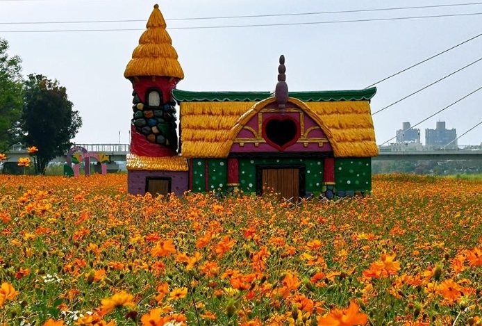 波斯菊花語意義