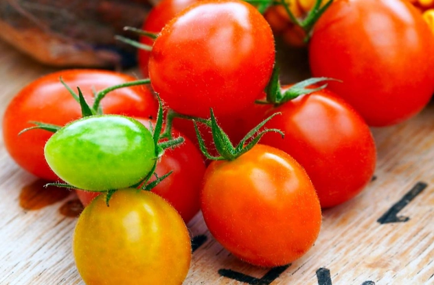 玉女番茄栽培技巧