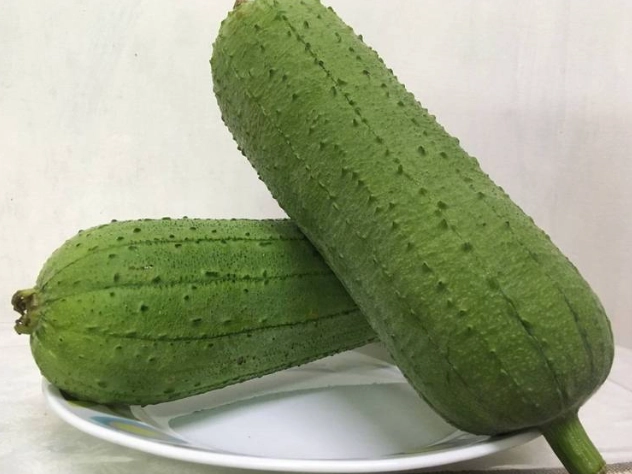 絲瓜種植時間 絲瓜種植時間