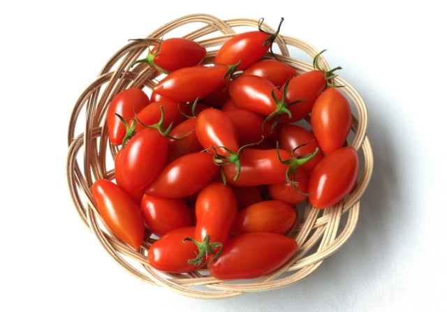 玉女番茄病蟲害防治