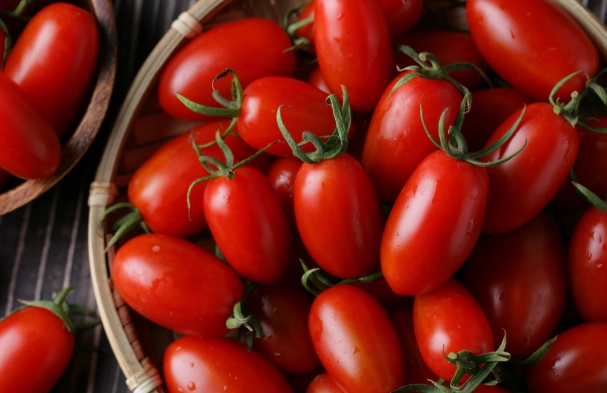 小番茄種植技巧