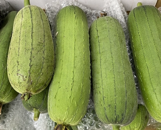 蘋果絲瓜育苗方法