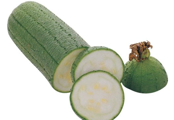 蘋果絲瓜種子發芽