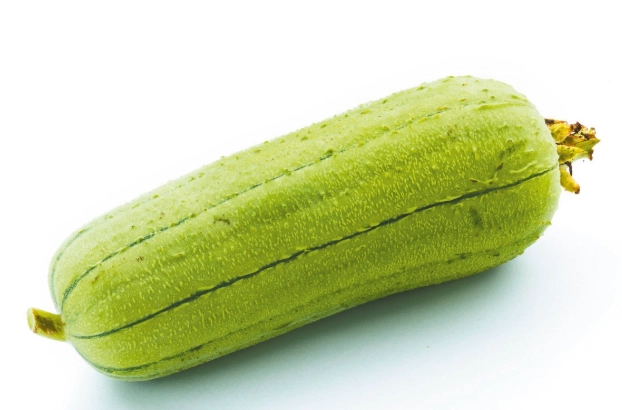 蘋果絲瓜育苗方法