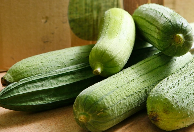 絲瓜栽培季節 絲瓜栽培季節