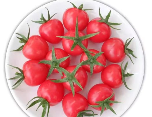 玉女番茄栽培技巧