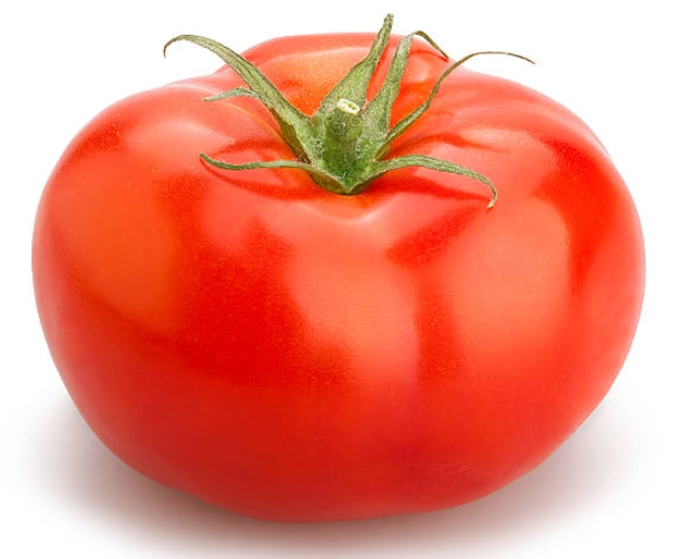 牛番茄種植方法