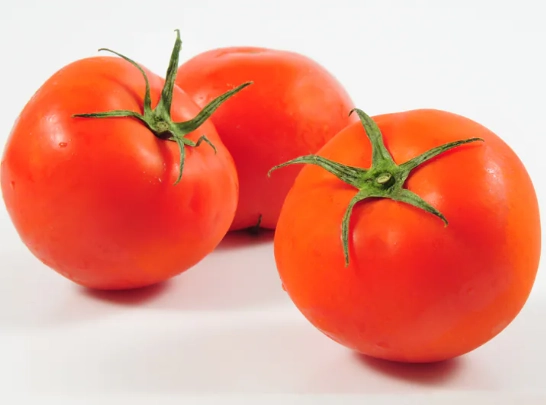 牛番茄種植技術