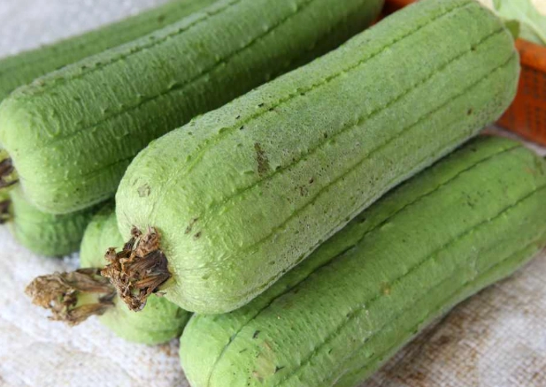 絲瓜種植時間 絲瓜種植時間