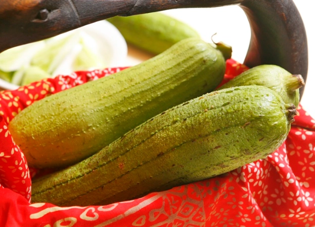 蘋果絲瓜育苗方法