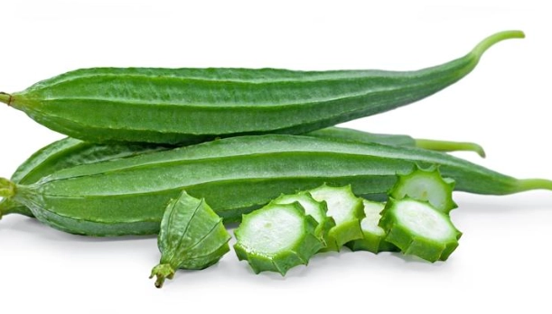 蘋果絲瓜種子發芽