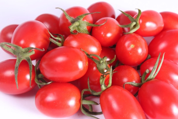 玉女番茄栽培方法