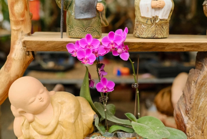 切莖步驟 切莖步驟