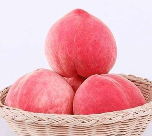 水蜜桃土壤改良