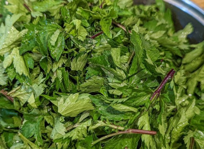 角菜營養 角菜營養