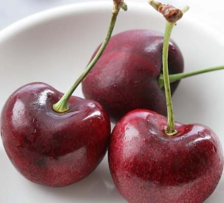 櫻桃營養