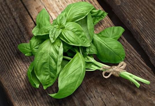 羅勒葉食譜
