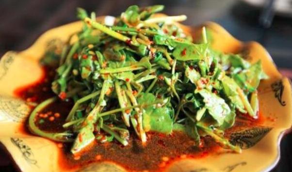 芝麻菜健康益處