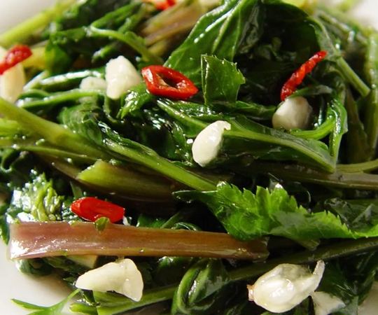 角菜種植 角菜種植