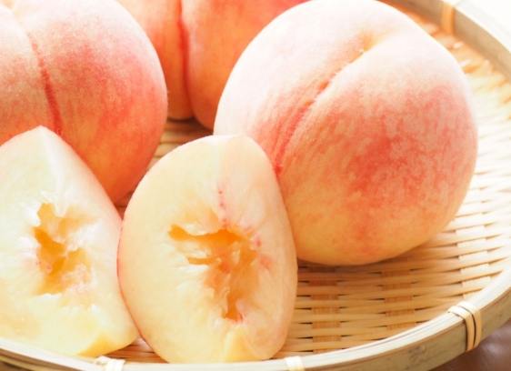 桃子種類