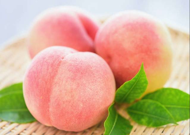 水蜜桃土壤條件