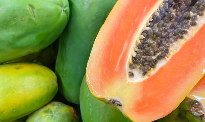 木瓜籽安全食用