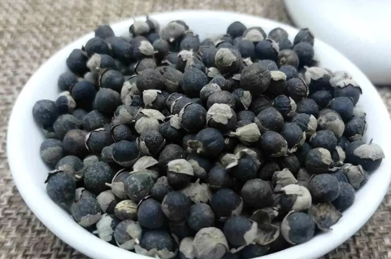 蔓荆子使用禁忌