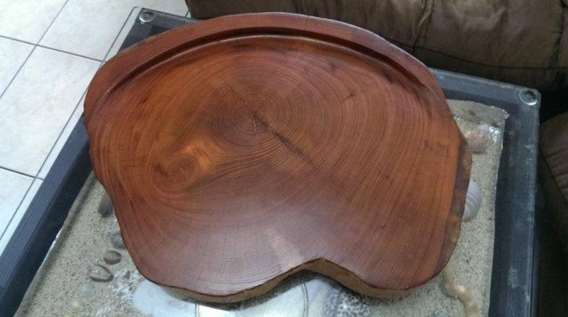 烏心石烏檀木特性