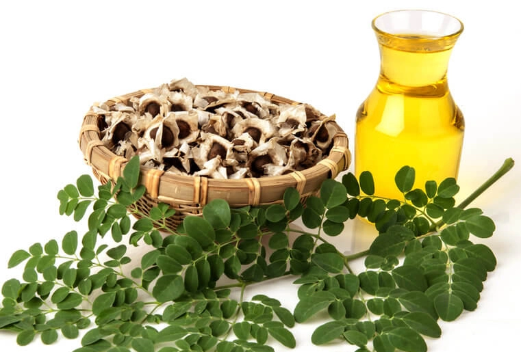 辣木籽油使用方法