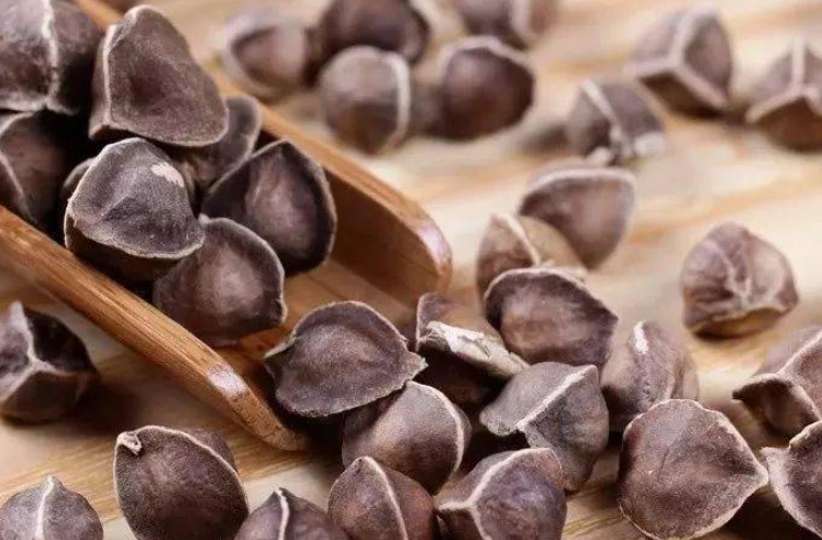 辣木籽食用禁忌