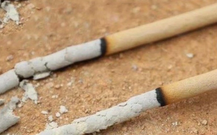 艾草蚊香棒推薦 艾草蚊香棒推薦