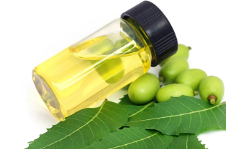 苦楝油使用限制